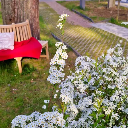 Zirchow, Haffcottage Zirchow